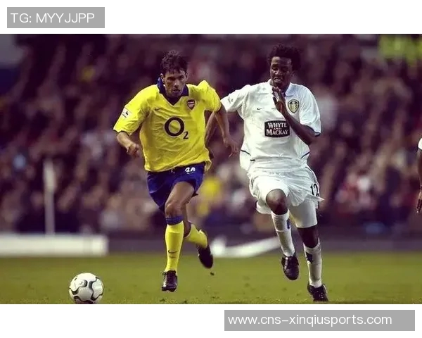 巴西足球巨星的辉煌历程与对世界足球的深远影响